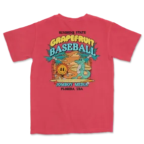 GRAPEFRUIT BASEBALL | Comfort Colors® Vintage Tee